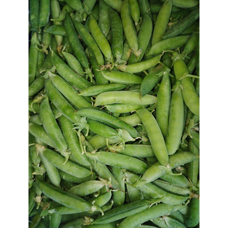 Petit pois a écosser au kg