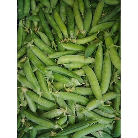 Petit pois a écosser au kg