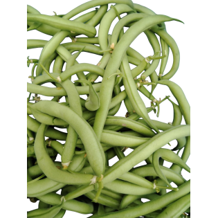 Haricots verts au kilo