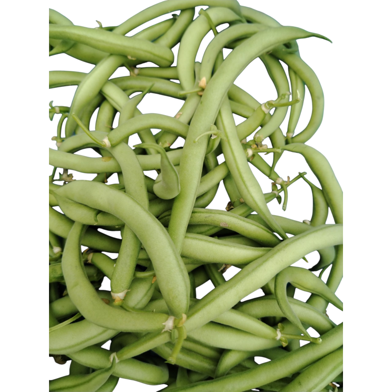 Haricots verts au kilo